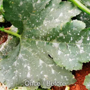 nano-green-ph-dusurucu-bitki-besin nano-green-ph-dusurucu-bitki-besin