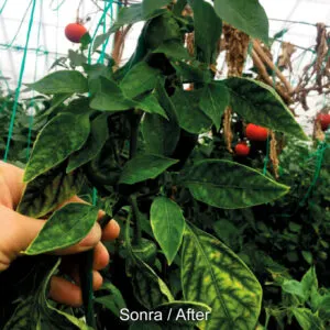 proton-v367-organic-gubre-ph-dengeleyici proton-v367-organic-gubre-ph-dengeleyici