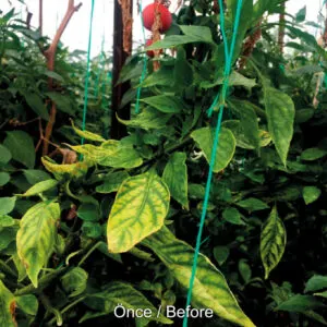 proton-v367-organic-gubre-ph-dusurucu proton-v367-organic-gubre-ph-dusurucu